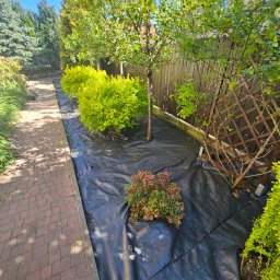 Zakładanie ogrodów Boryszew 2