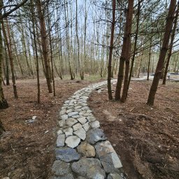 Green Dream Natalia Malczyk - Ścieżka z nieregularnych kamieni prowadząca przez las, widoczna z perspektywy pieszego, otoczona ściółką i drzewami.