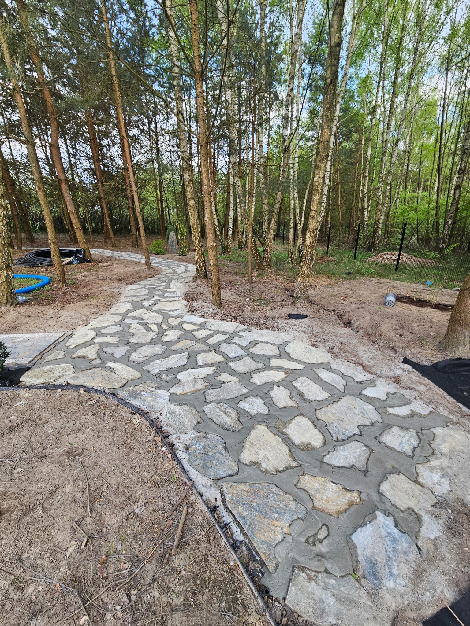 Ścieżka z nieregularnych, jasnych kamieni, świeżo ułożonych w szarym cemencie, wijąca się przez las brzozowo-sosnowy, z widocznymi elementami instalacji ogrodowych w tle.