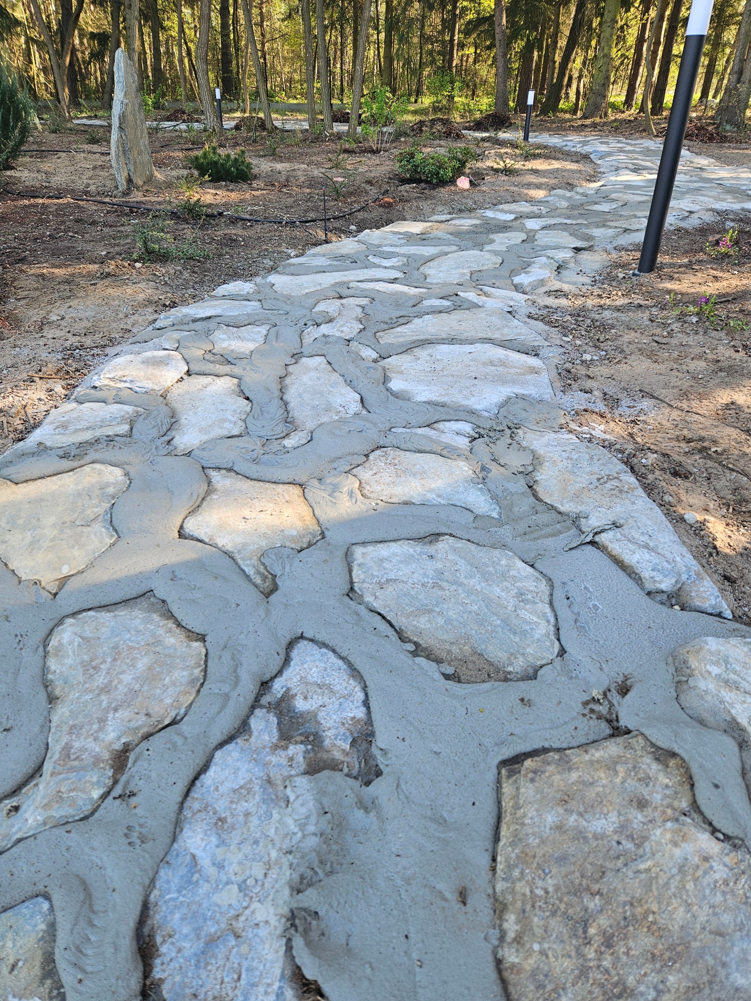 Ścieżka ogrodowa z nieregularnych kamieni, świeżo połączonych zaprawą cementową, prowadząca przez leśny teren z młodymi drzewami i lampami ogrodowymi.