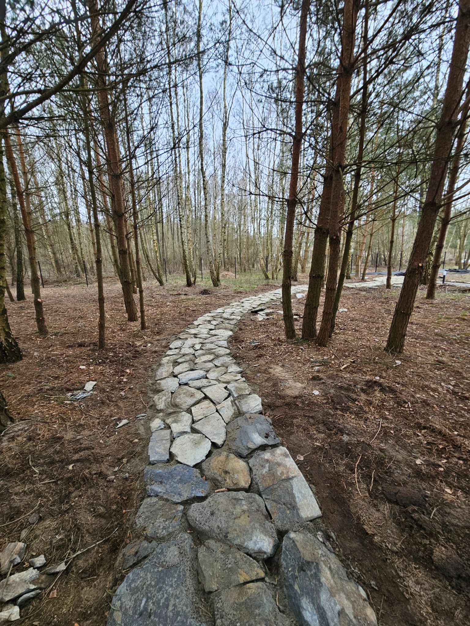 Ścieżka z nieregularnych kamieni prowadząca przez las, widoczna z perspektywy pieszego, otoczona ściółką i drzewami.