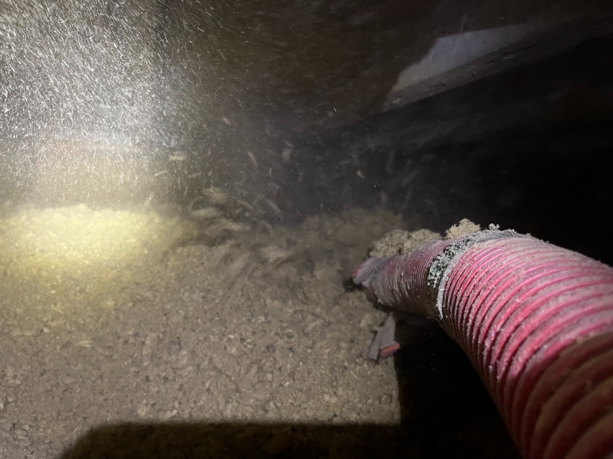 Aplikacja izolacji celulozowej w poddaszu za pomocą węża pneumatycznego, widoczne włókna materiału w powietrzu pod silnym strumieniem światła.