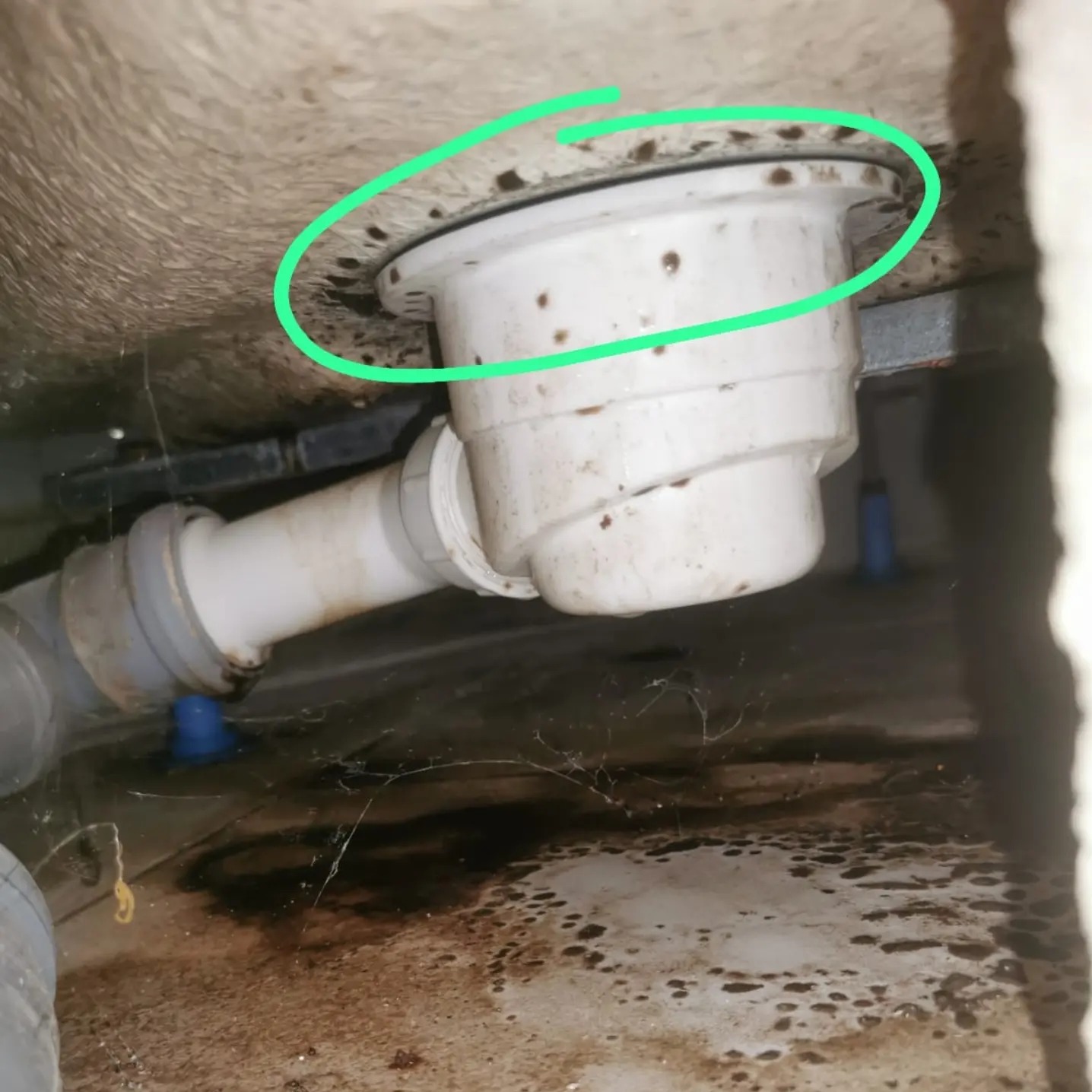 Brudny odpływ wanny z widocznymi śladami przecieków i pajęczynami, prawdopodobnie w Nysie, wymagający interwencji hydraulika.