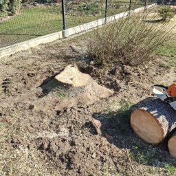 Pielęgnacja ogrodów Węgierska Górka 2