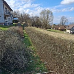 Eko - Drew Opał odnawialny Arkadiusz Kublin - Długi, gęsty żywopłot z brązowych gałęzi na tle zielonej trawy i zabudowań. Widoczne ślady po przycinaniu, błękitne niebo z chmurami w tle.