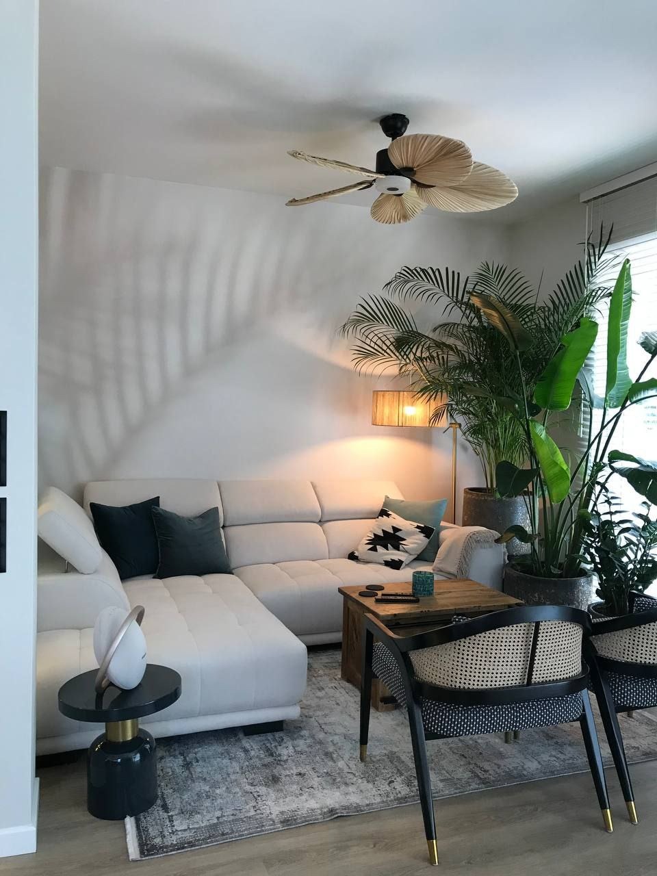 Jasny salon z narożną sofą, rattanowym wentylatorem sufitowym i licznymi roślinami doniczkowymi, w tym palmami, rzucającymi cienie na ścianę.