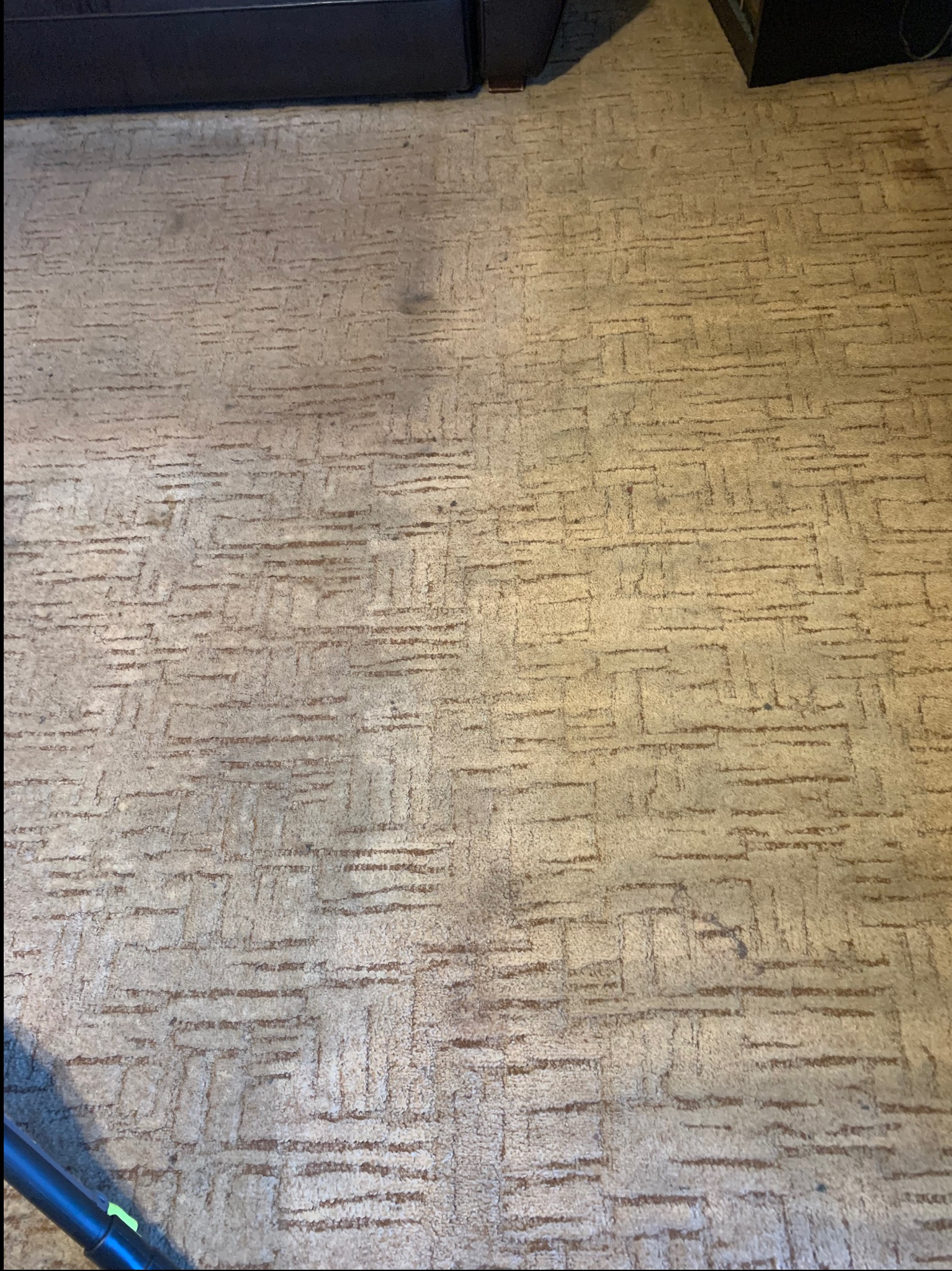 Czyszczenie wykładziny