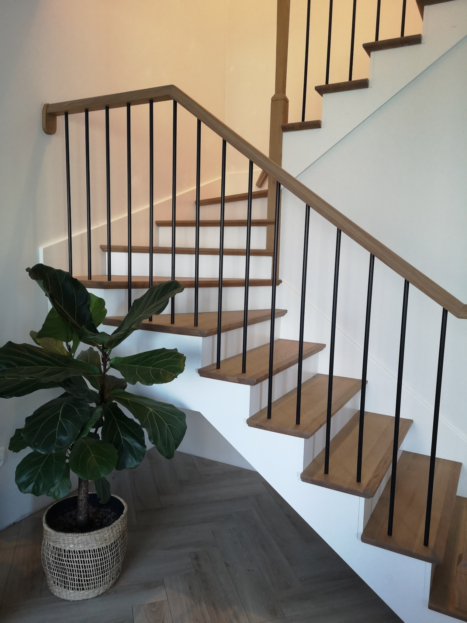 Nowoczesne schody z drewnianymi stopniami, czarnymi balustradami i jasnymi ścianami, uzupełnione dużą rośliną doniczkową w plecionym koszu na podłodze z parkietu w jodełkę.