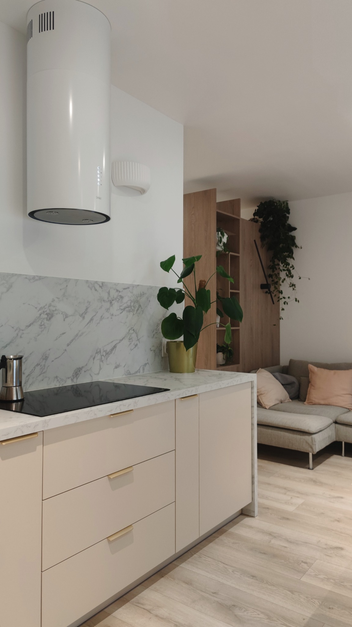 Jasna kuchnia z marmurowym backsplashiem, minimalistycznym okapem cylindrycznym i rośliną Monstera w złotym wazonie, przechodząca w salon z szarą sofą i drewnianą biblioteczką.