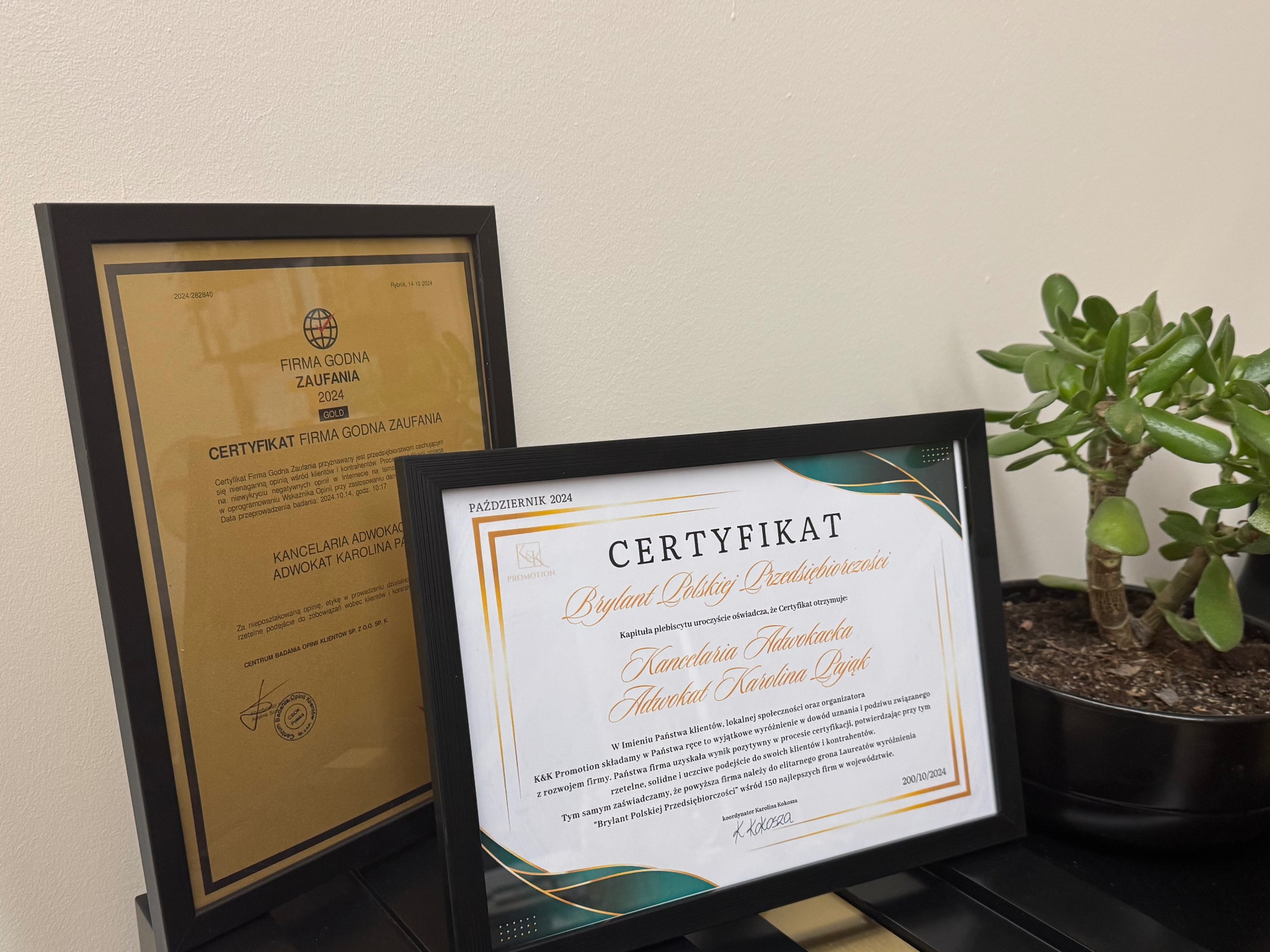 Dwa certyfikaty w czarnych ramkach, jeden 'Firma Godna Zaufania 2024' i drugi 'Brylant Polskiej Przedsiębiorczości', obok doniczka z zieloną rośliną.