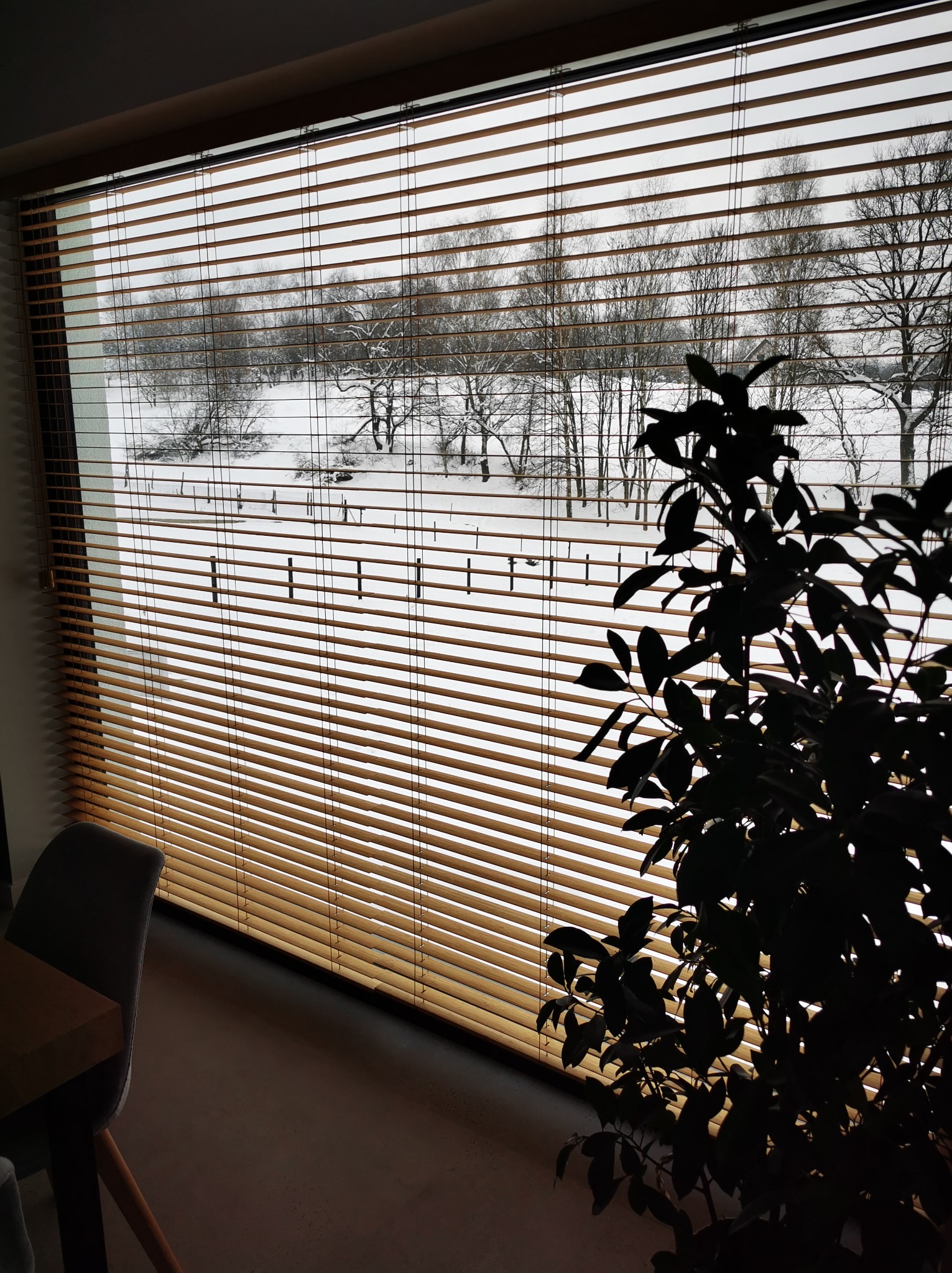 Żaluzja bambusowa 50 mm