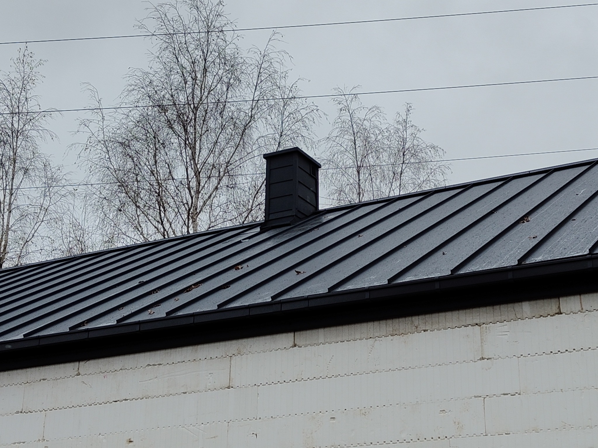 Nowoczesny, grafitowy dach z blachy na budynku z białego bloczka, z czarnym kominem i rynną, na tle nagich drzew i pochmurnego nieba.