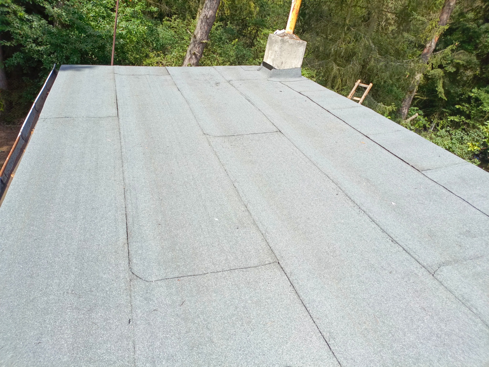 Płaski dach pokryty papą termozgrzewalną w odcieniach szarości, widoczny komin z żółtą rurą wentylacyjną i drewniana drabina oparta o drzewo w tle.