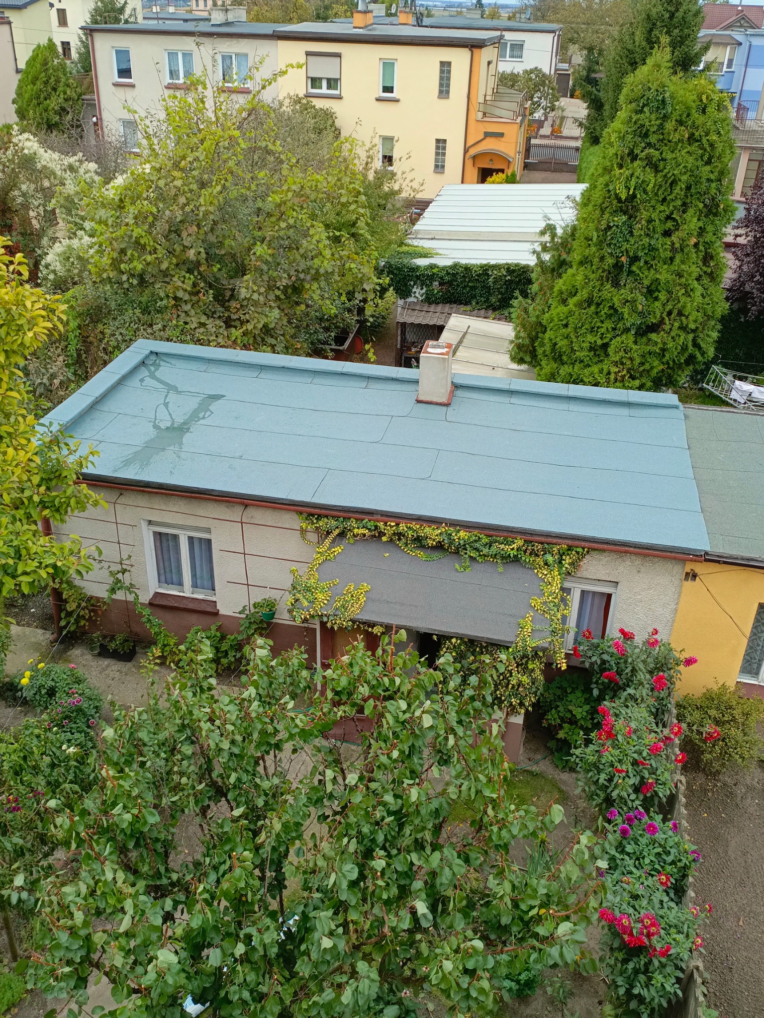 Widok z góry na dom z płaskim, szarym dachem pokrytym papą, z widocznymi śladami po deszczu. Budynek otoczony bujną zielenią, kwitnącymi krzewami i drzewami. W tle zabudowa mieszkalna.