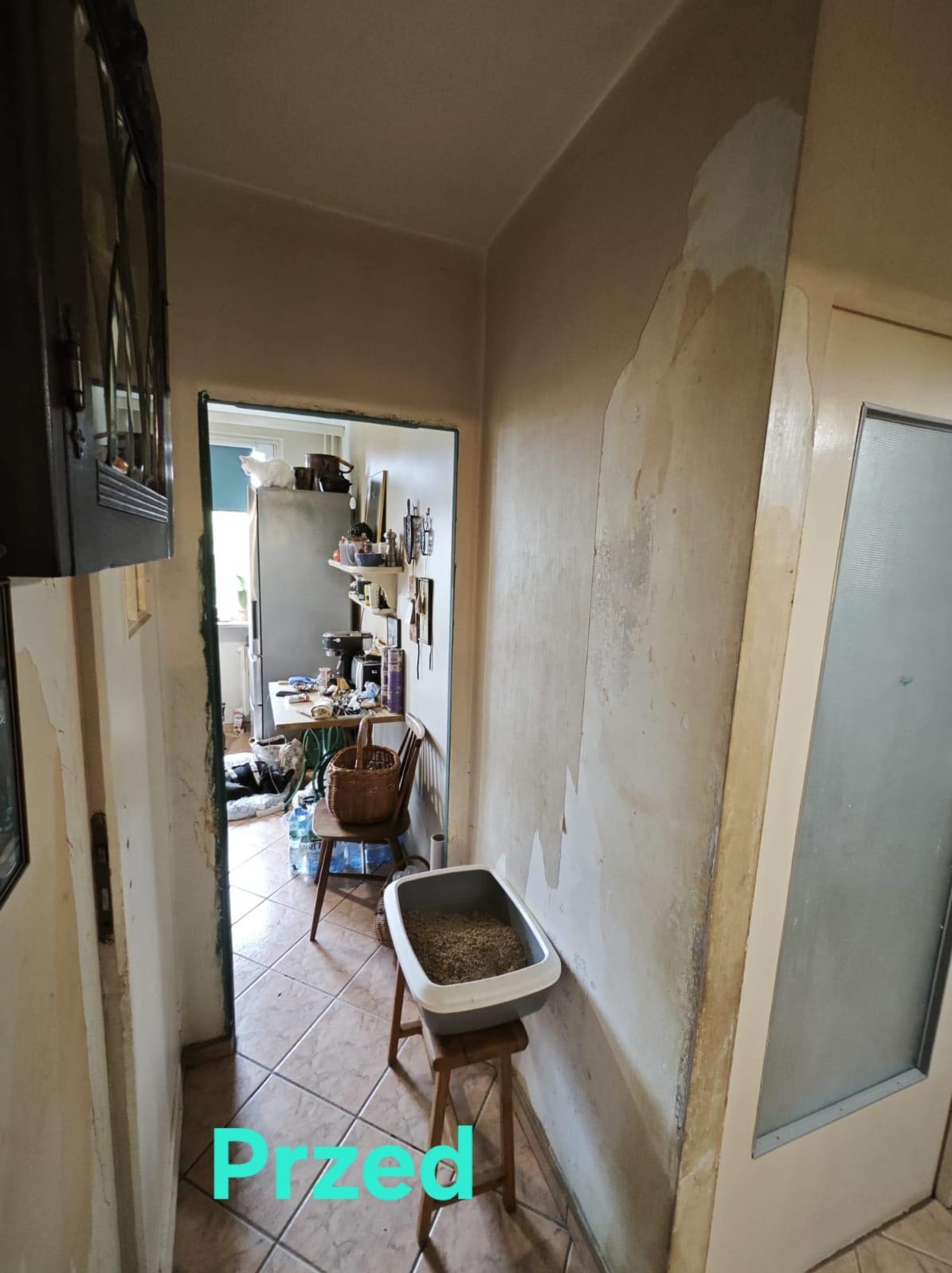 Korytarz w mieszkaniu przed remontem: ściany z widocznymi ubytkami i pozostałościami starej farby, widoczny fragment kuchni w tle, na pierwszym planie kuweta dla kota.