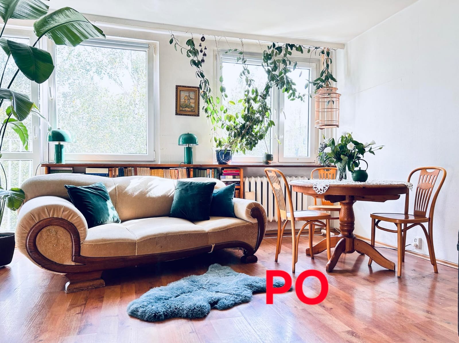 Jasny salon z antycznym, beżowym kanapą, drewnianym stołem z bukietem białych kwiatów, zielonymi lampkami, roślinami zwisającymi z okien i niebieskim dywanem na parkiecie.