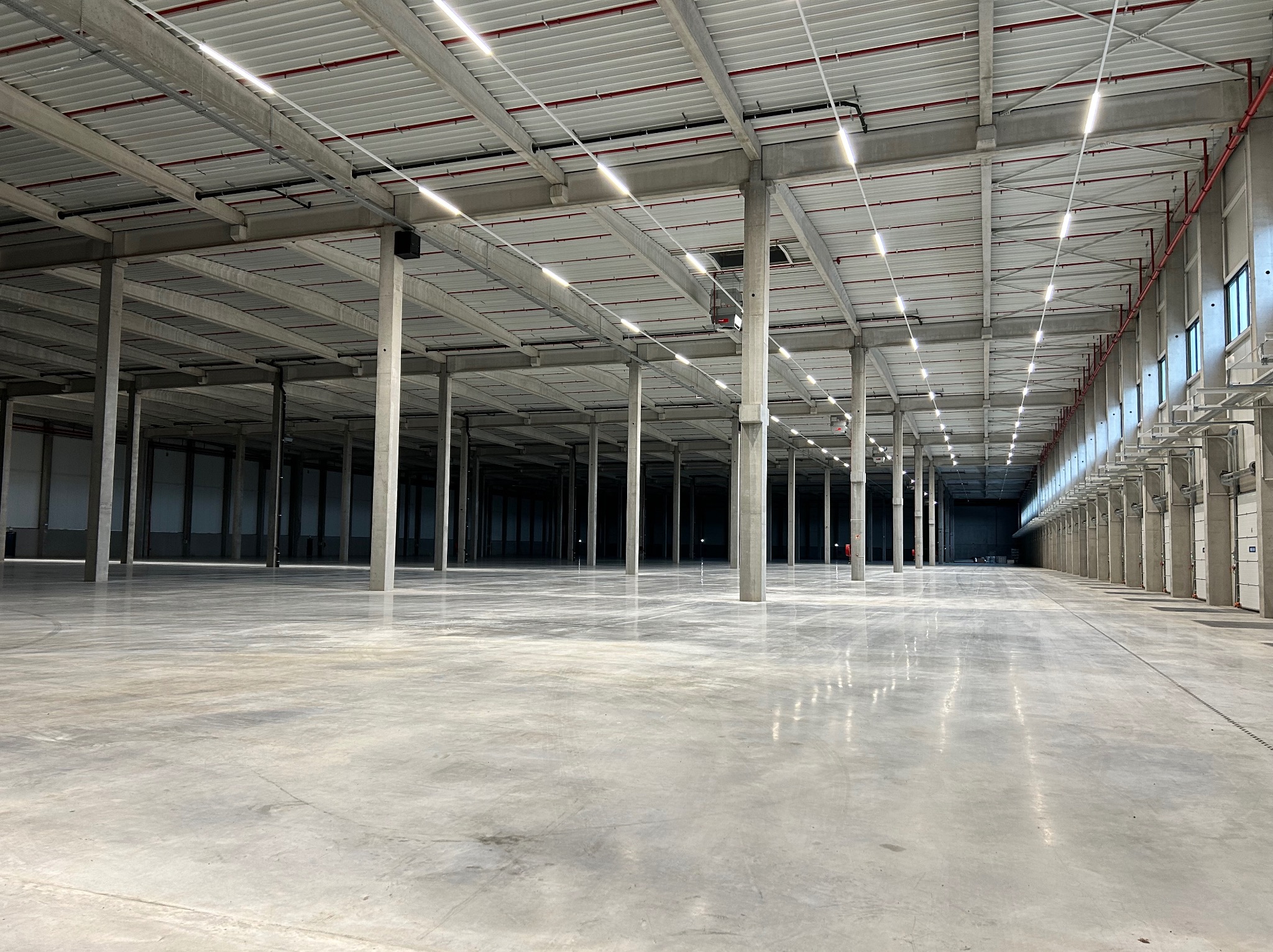 Wnętrze hali magazynowej z betonową posadzką i rzędami kolumn wspierających sufit z widocznymi liniami oświetlenia LED.