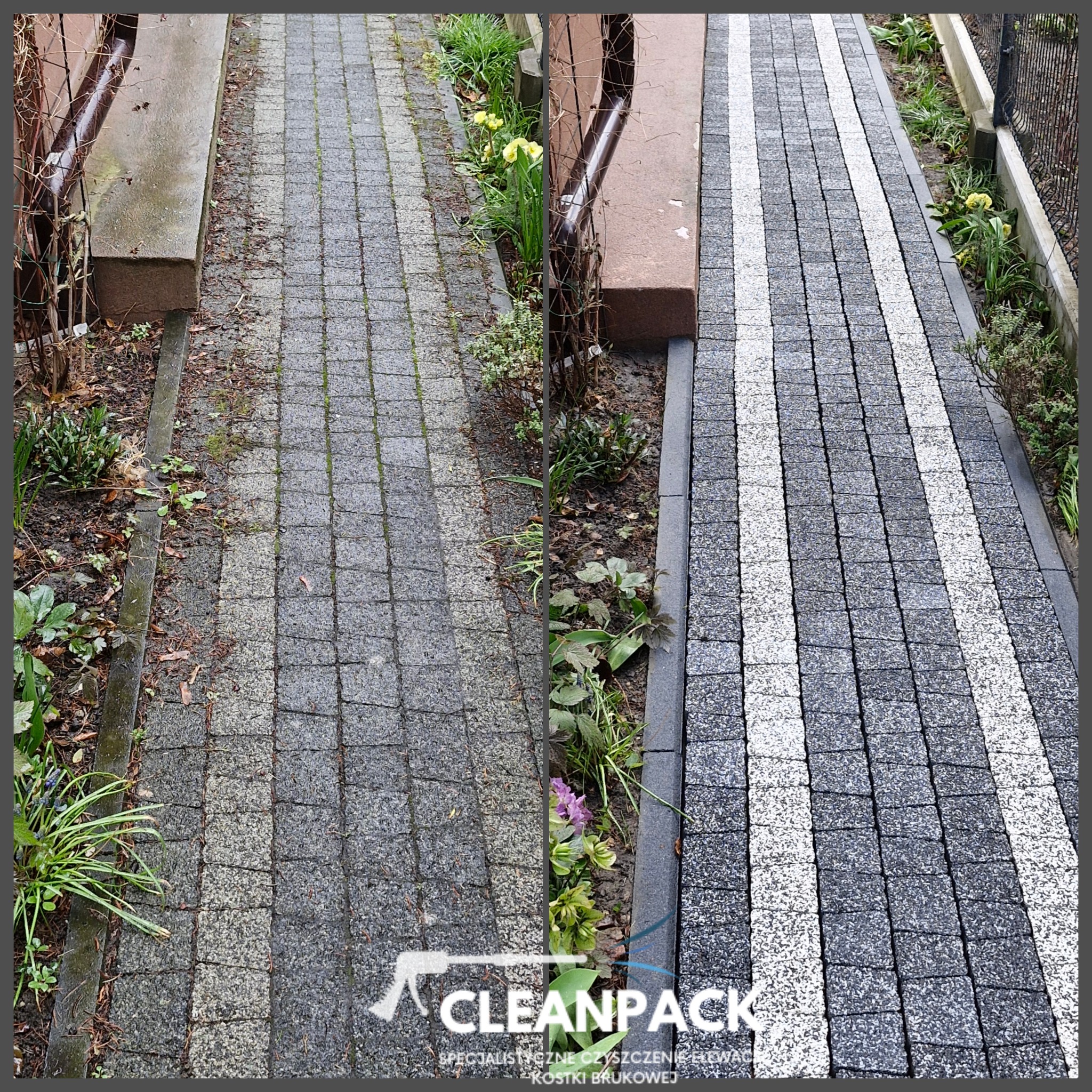 Porównanie kostki brukowej przed i po czyszczeniu: po lewej stronie zabrudzona i porośnięta mchem, po prawej czysta z jasnymi pasami, widoczne kwiaty i roślinność wzdłuż ścieżki.