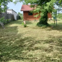 Świeżo skoszona trawa w ogrodzie z drewnianą altaną, drabina oparta o płot. Resztki trawy na trawniku, częściowo zacienione przez drzewa.