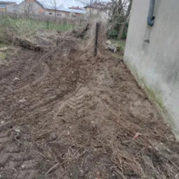 Ziemia po wycince z widocznymi śladami opon traktora, resztki gałęzi i krzewów, ściana budynku w tle. Teren przygotowany pod przyszłe nasadzenia.