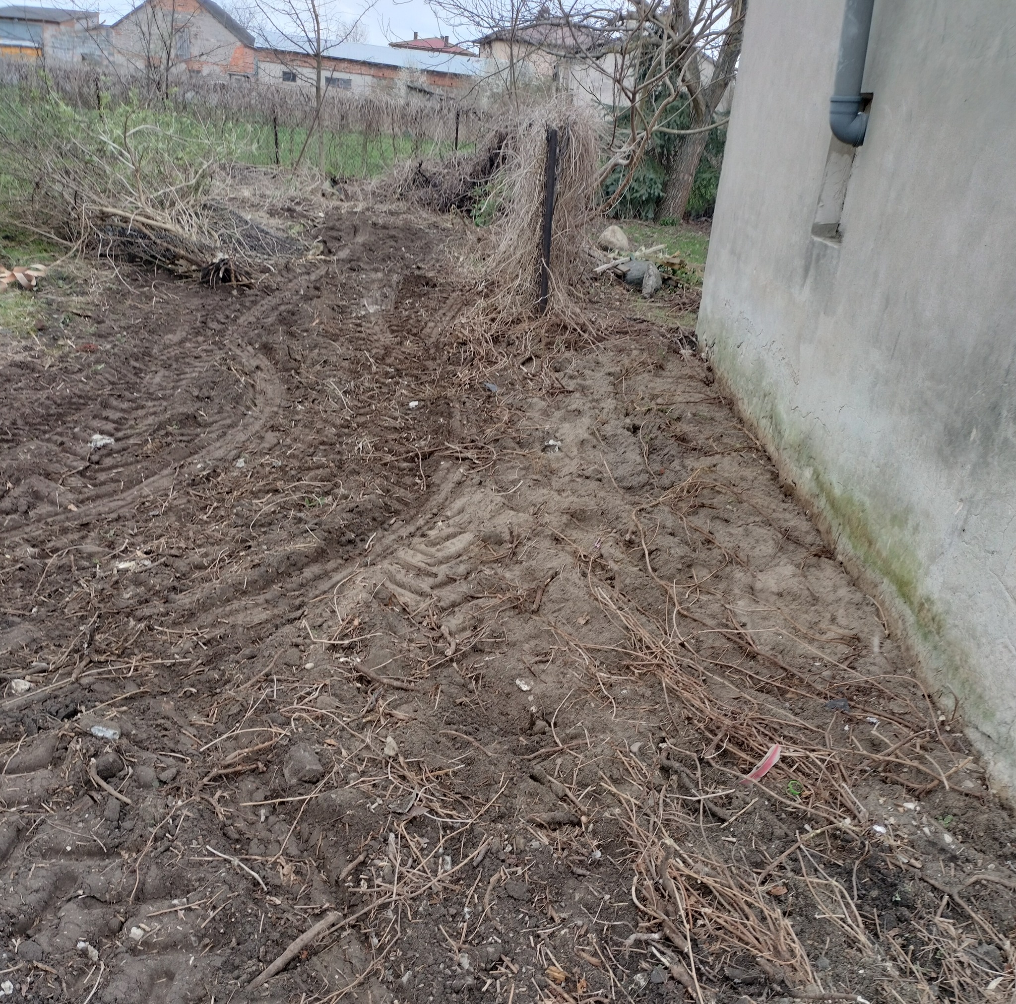 Ziemia po wycince z widocznymi śladami opon traktora, resztki gałęzi i krzewów, ściana budynku w tle. Teren przygotowany pod przyszłe nasadzenia.