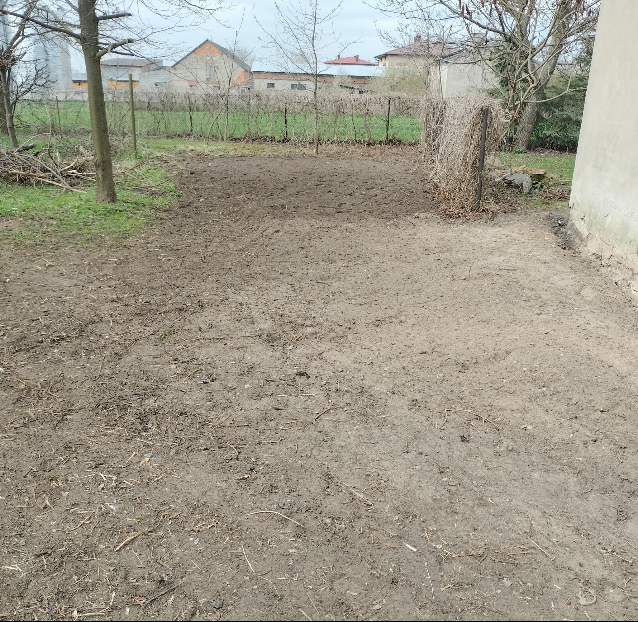 Przygotowany teren pod ogród: wyrównana ziemia z resztkami roślin, widoczne ogrodzenie z siatki i budynki w tle, pochmurna pogoda.