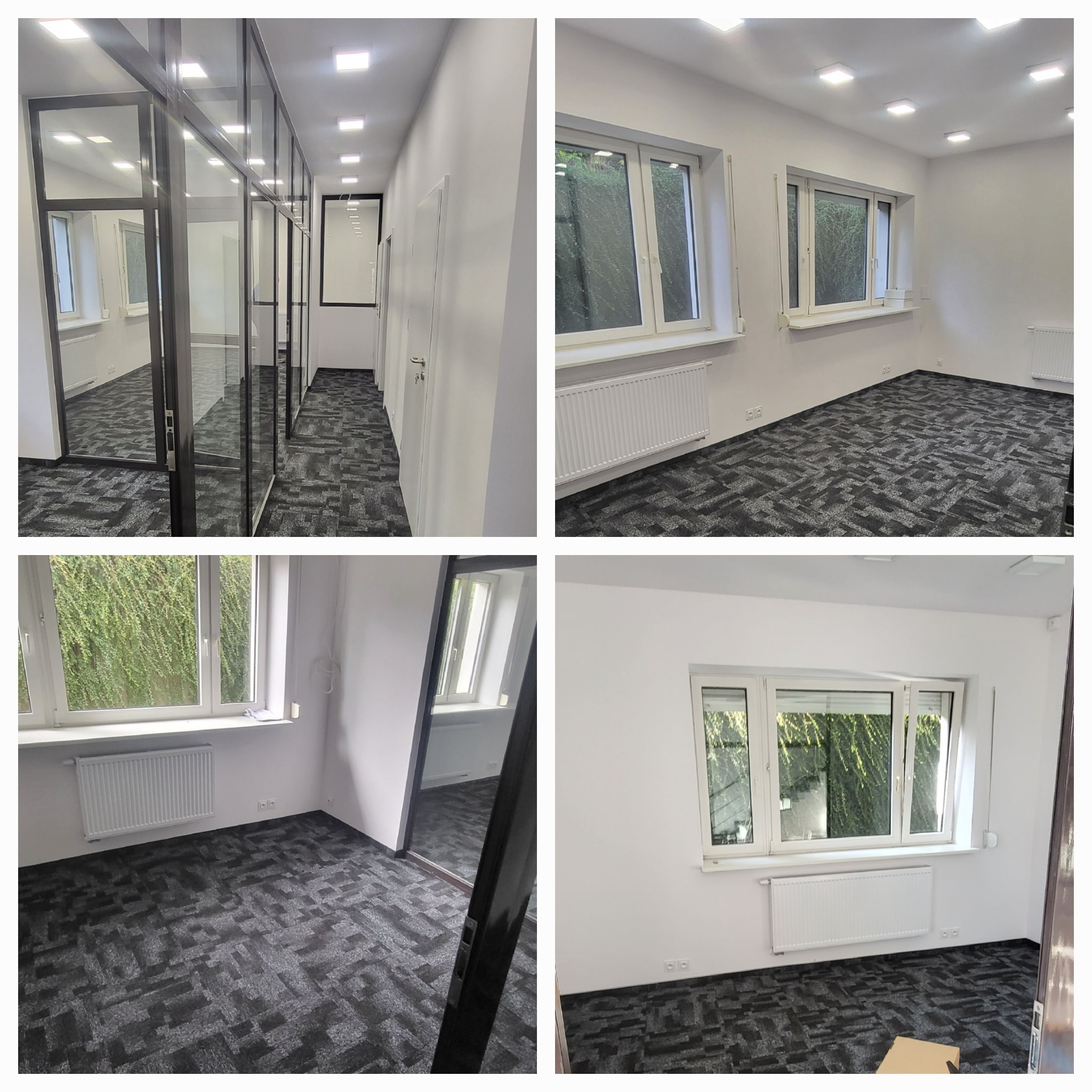 Wnętrze biura po remoncie: białe ściany, szara wykładzina dywanowa w geometryczne wzory, okna z widokiem na zieleń, przeszklone ścianki działowe z czarnymi ramami.