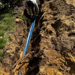 Pracownik w szarej bluzie układa niebieski przewód w wykopie ziemnym, widoczne korzenie i roślinność.