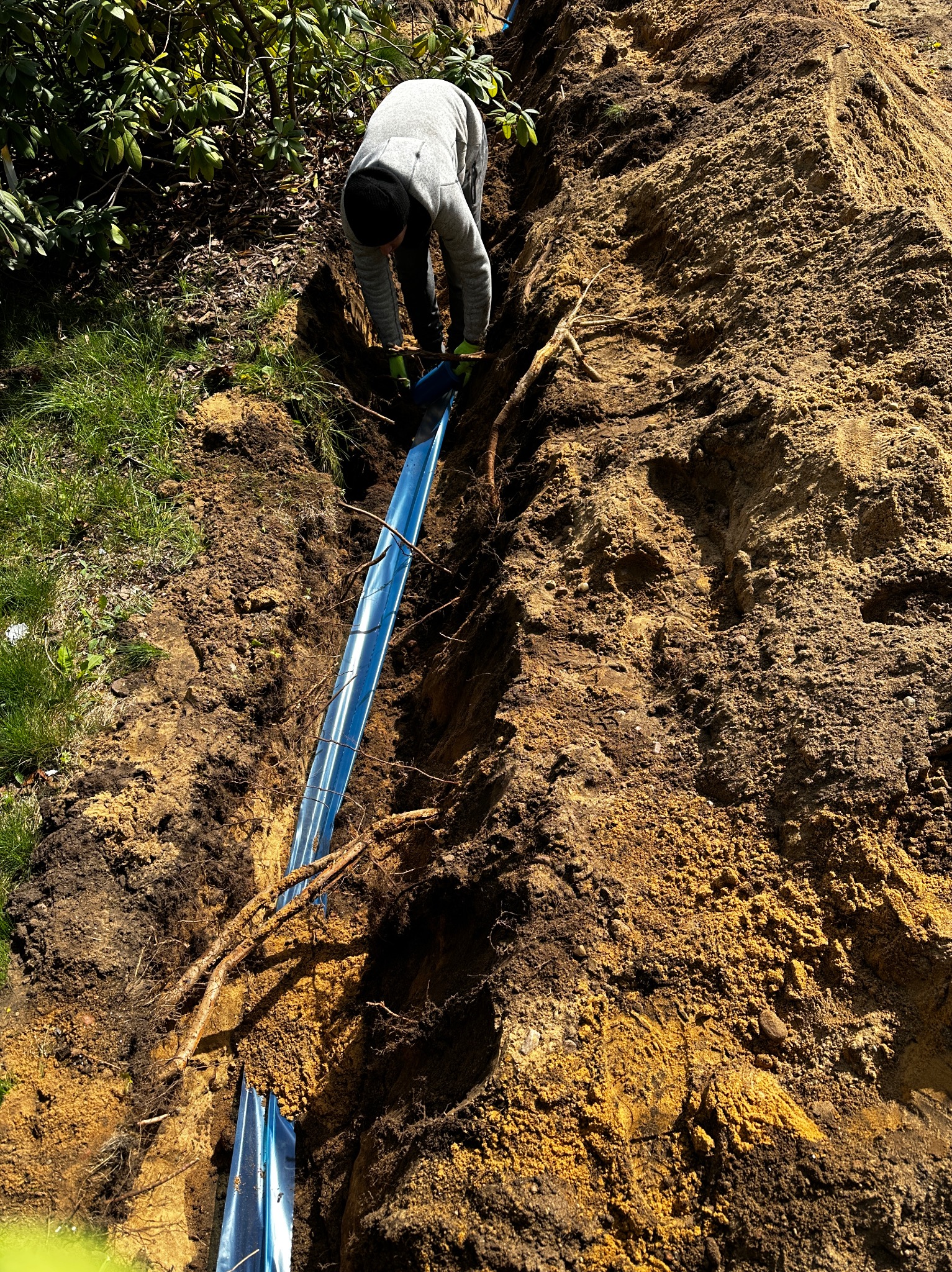 Pracownik w szarej bluzie układa niebieski przewód w wykopie ziemnym, widoczne korzenie i roślinność.