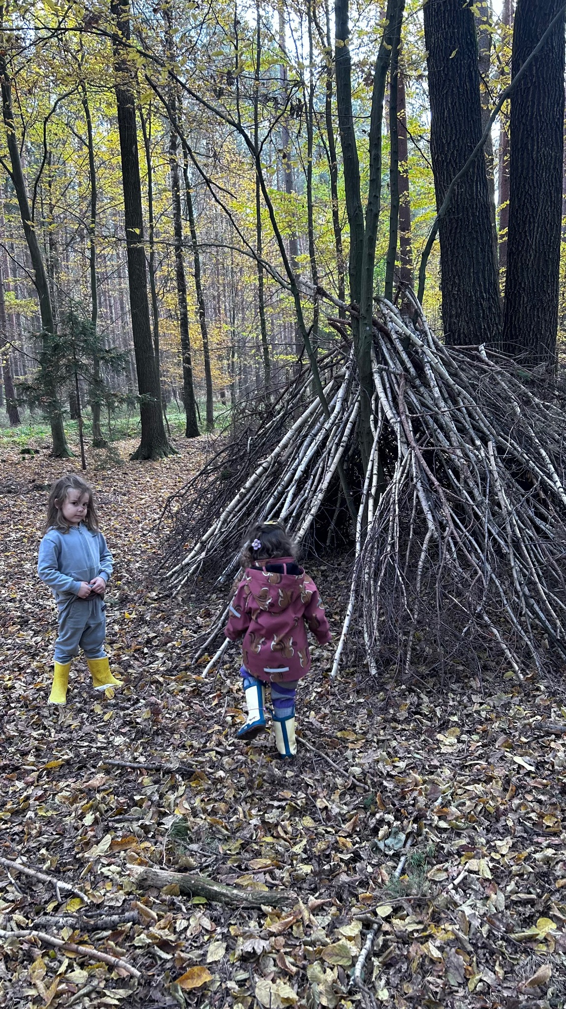 Dwie dziewczynki w lesie obok szałasu z gałęzi. Jedna w żółtych kaloszach, druga w niebieskich. Jesienne liście na ziemi, drzewa z żółtymi liśćmi w tle.