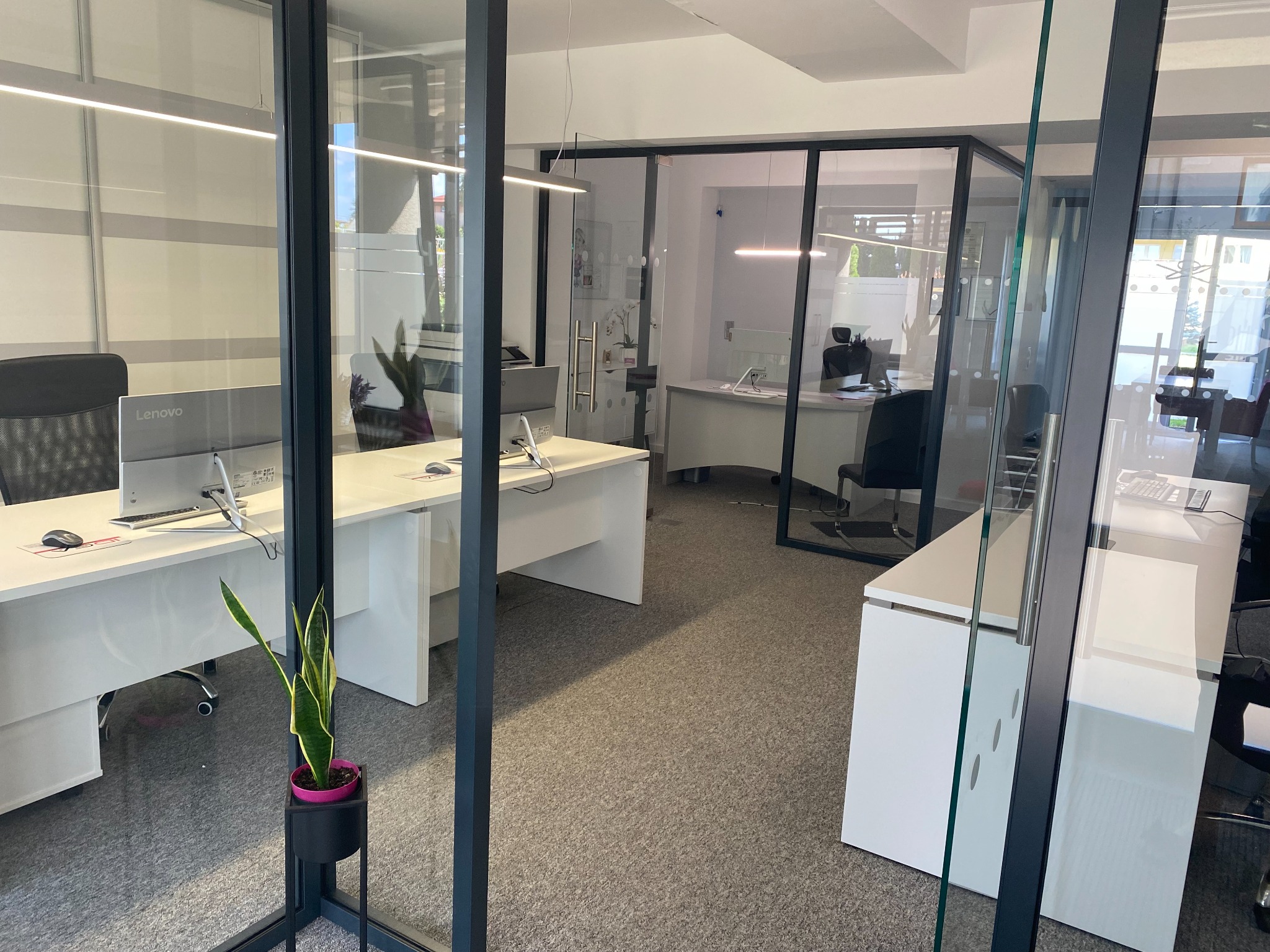 Nowoczesne biuro z białymi biurkami, szklanymi ścianami działowymi i minimalistycznym wystrojem, w tym roślina doniczkowa w różowej doniczce na czarnym stojaku.