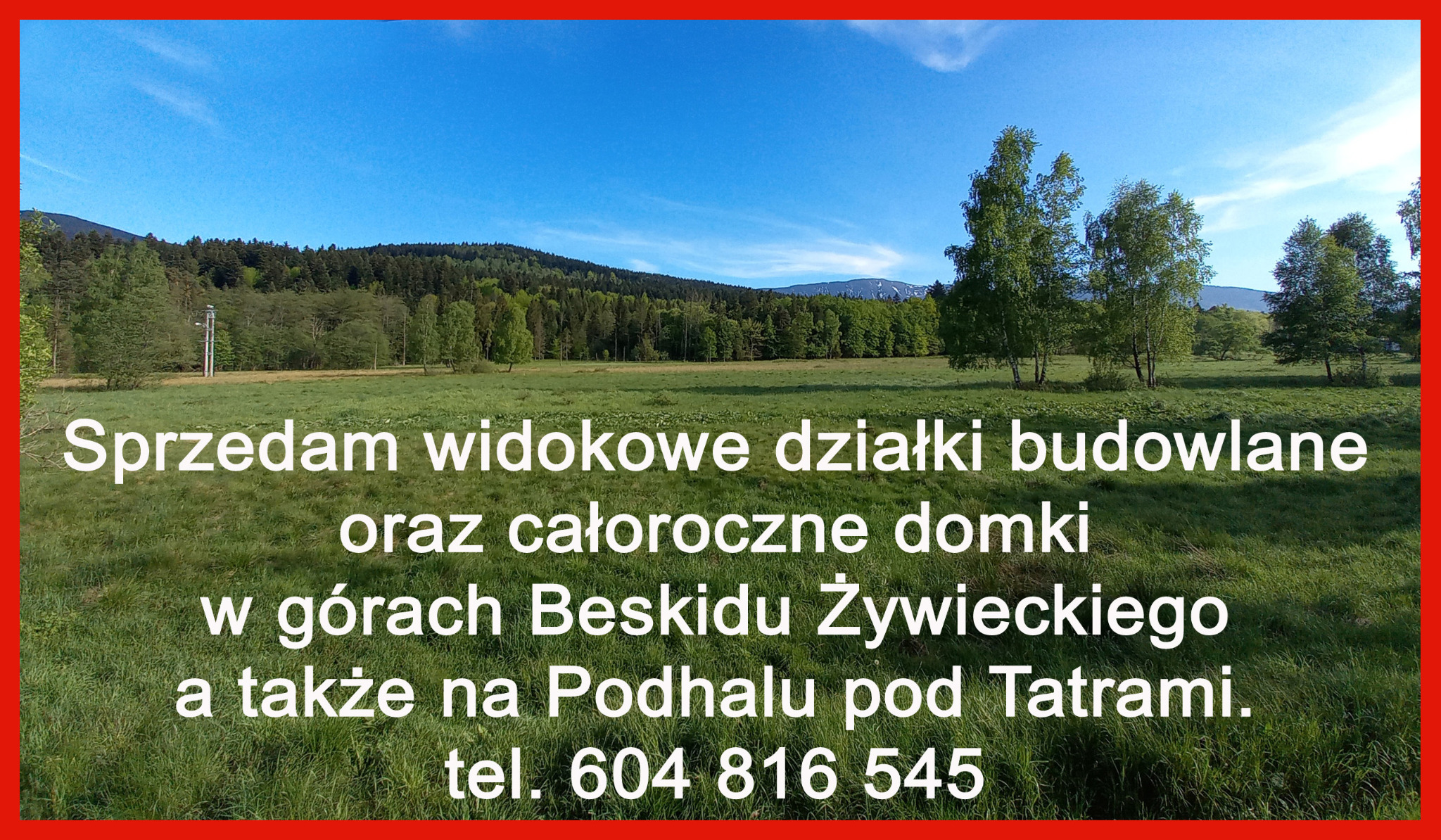 Panorama działki budowlanej z widokiem na zalesione wzgórza i góry w oddali, na pierwszym planie łąka z wysoką trawą i drzewami, oferta sprzedaży z numerem telefonu naniesiona na zdjęcie.