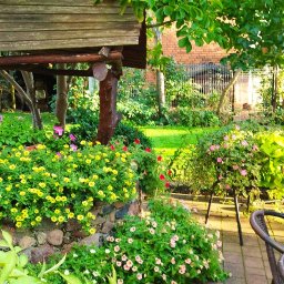 DZIADEK TADEK TADEUSZ WĄS - Część tarasu przy wejściu do domu, rośliny w doniczkach na poniemieckiej studni, daszek zrobiony z odpadów, jest uroczy.