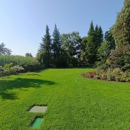 Sadzenie drzew i krzewów Milicz