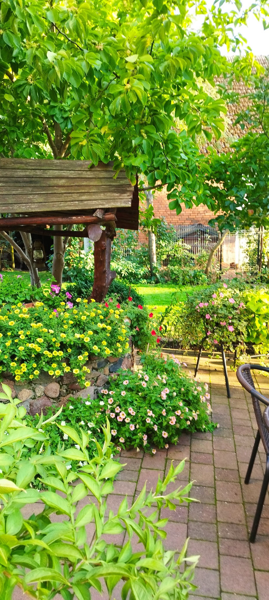 Część tarasu przy wejściu do domu, rośliny w doniczkach na poniemieckiej studni, daszek zrobiony z odpadów, jest uroczy.
