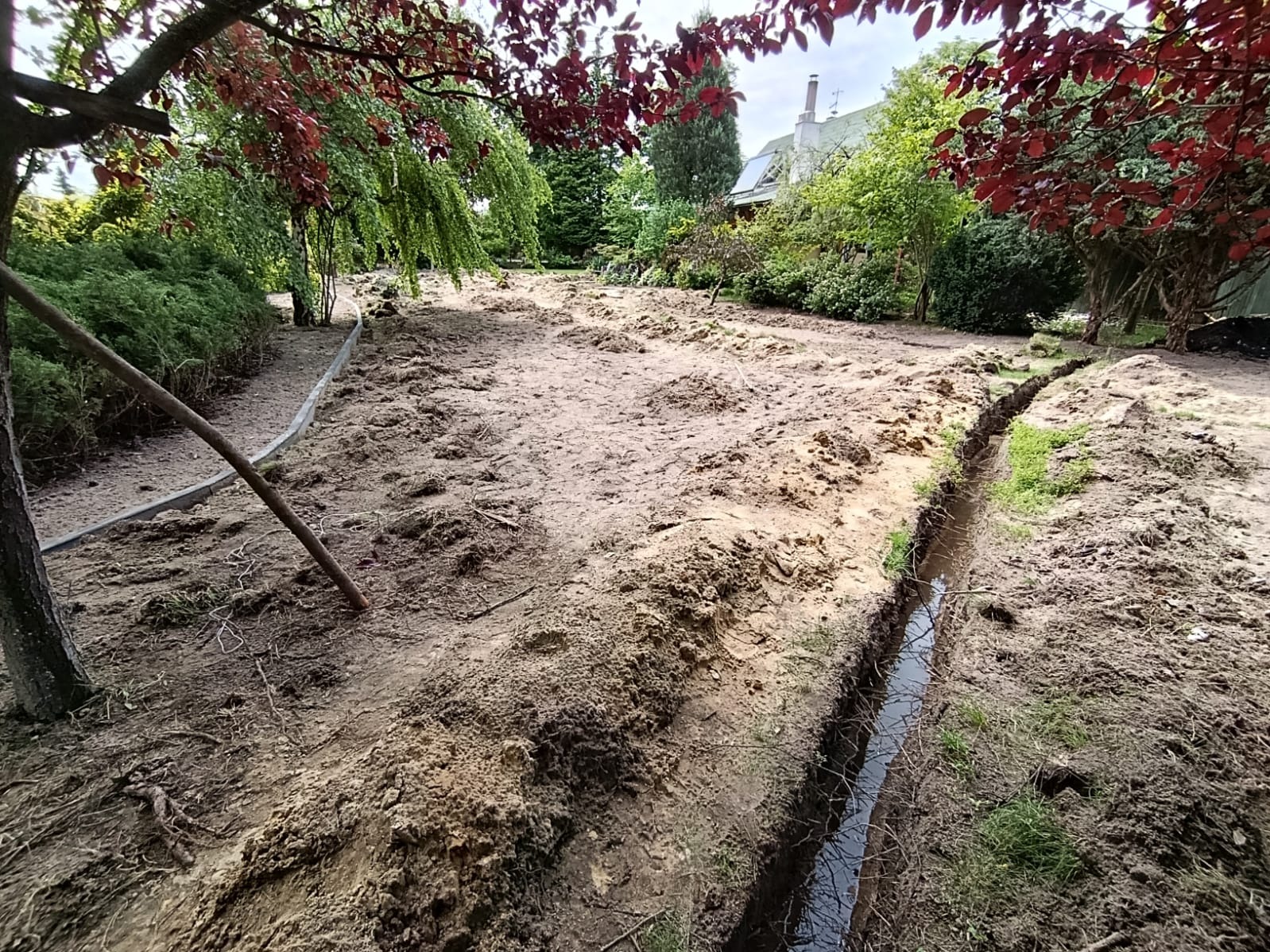 Totalna dewastacja starego trawnika