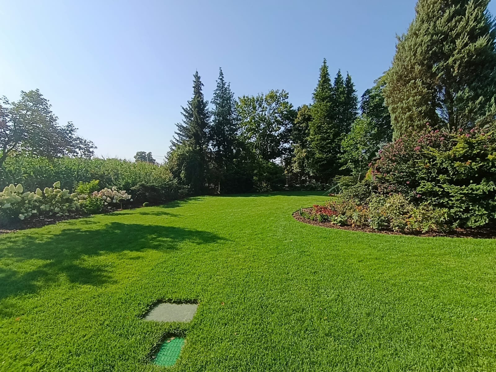 Budowa klombów i dobór roslin