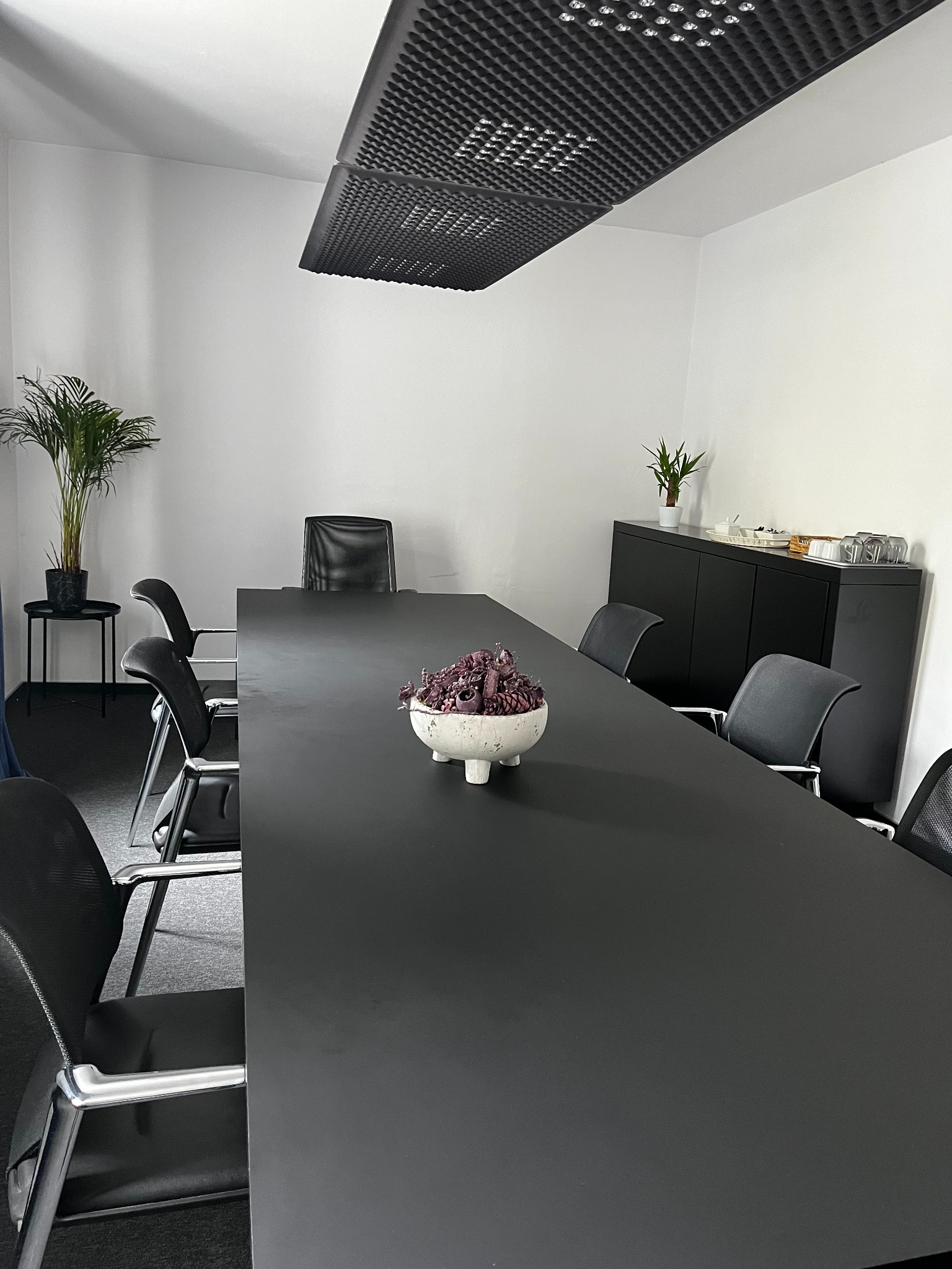 Nowoczesna sala konferencyjna z długim, czarnym stołem, czarnymi krzesłami, roślinami w doniczkach i dekoracyjną misą na stole, oświetlona przez panel sufitowy.