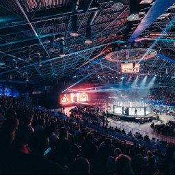 Sportowa impreza masowa Contra MMA - 2,5 tysiąca uczestników 