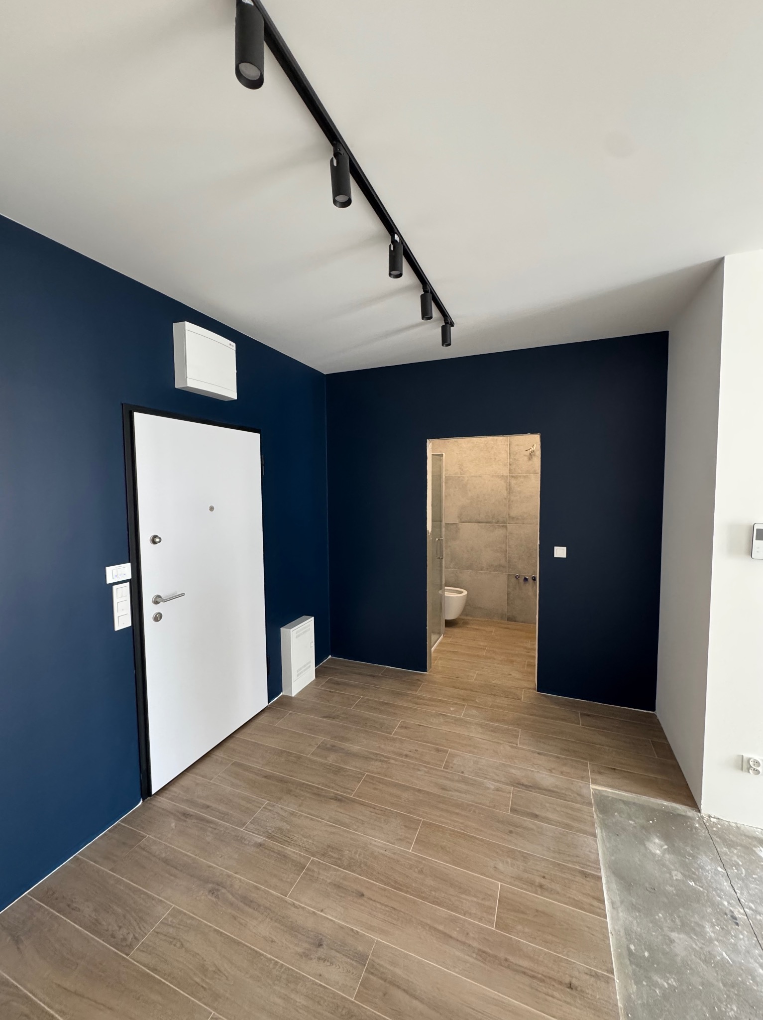 Wykończone wnętrze mieszkania: granatowa ściana, białe drzwi wejściowe, drewnopodobne panele podłogowe, oświetlenie szynowe, widok na wykończoną łazienkę.