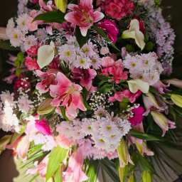 Kwiaciarnia Wrocław Poczta Kwiatowa