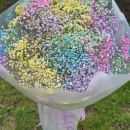 Duży bukiet gipsówki barwionej na różne kolory (żółty, niebieski, fioletowy, różowy, zielony) owinięty w przezroczysty papier z fioletową wstążką na trawie.