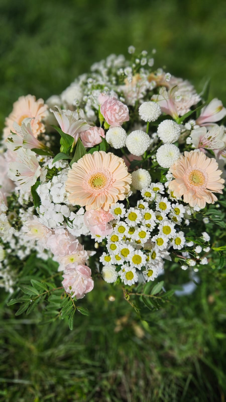 Delikatny bukiet z gerberami w odcieniach brzoskwini, białymi chryzantemami pomponowymi, drobnymi margerytkami i różowymi goździkami, na tle zielonej trawy.