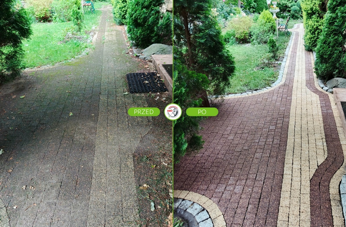 Kostka brukowa przed i po czyszczeniu: po lewej brudna, po prawej wyczyszczona, ukazująca różnicę w kolorze i wyglądzie. Widoczne otoczenie: trawa, krzewy.