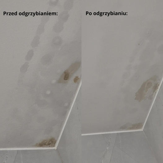Porównanie sufitu przed i po usunięciu grzyba, widoczne plamy i przebarwienia znikające po zabiegu, ujęcie z narożnika pomieszczenia.