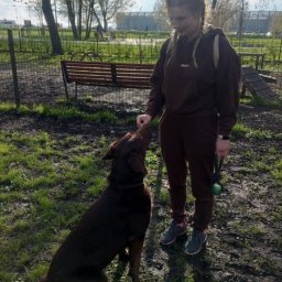 Weterynarz Gdańsk 2