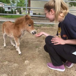 Weterynarz Gdańsk 1