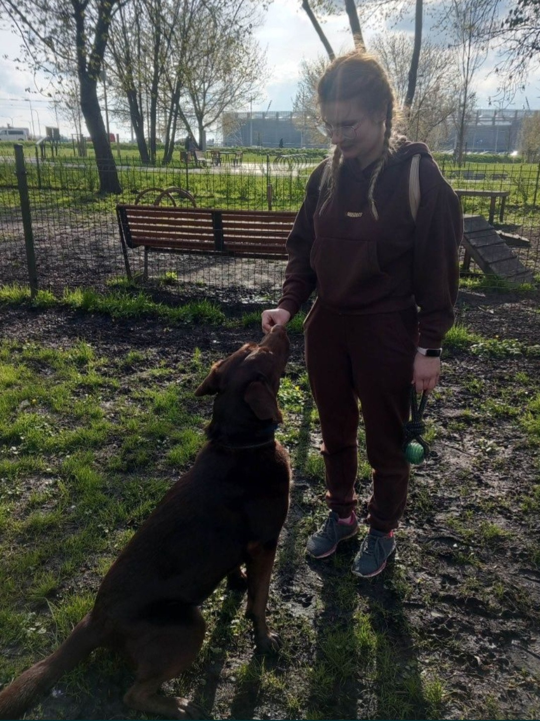 Kobieta w brązowym dresie karmi czekoladowego labradora na trawiastym terenie z elementami placu zabaw dla psów w tle.