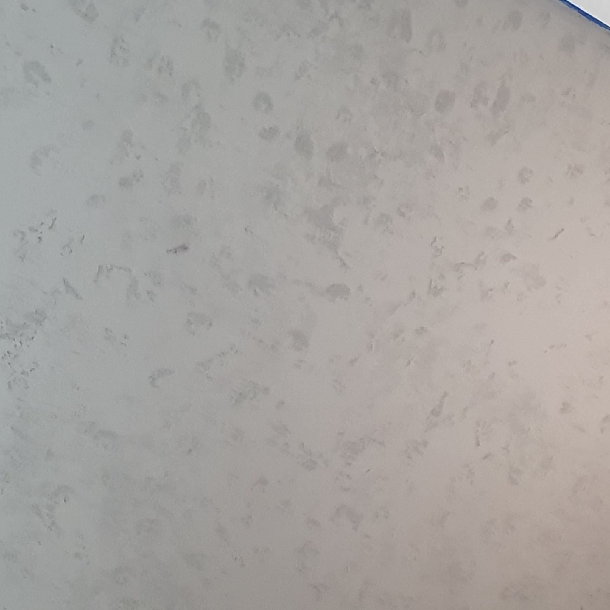 Ściana pokryta szarą, nieregularną strukturą, przypominającą efekt dekoracyjny po nałożeniu gładzi, z widocznym niebieskim fragmentem taśmy malarskiej w górnym rogu.