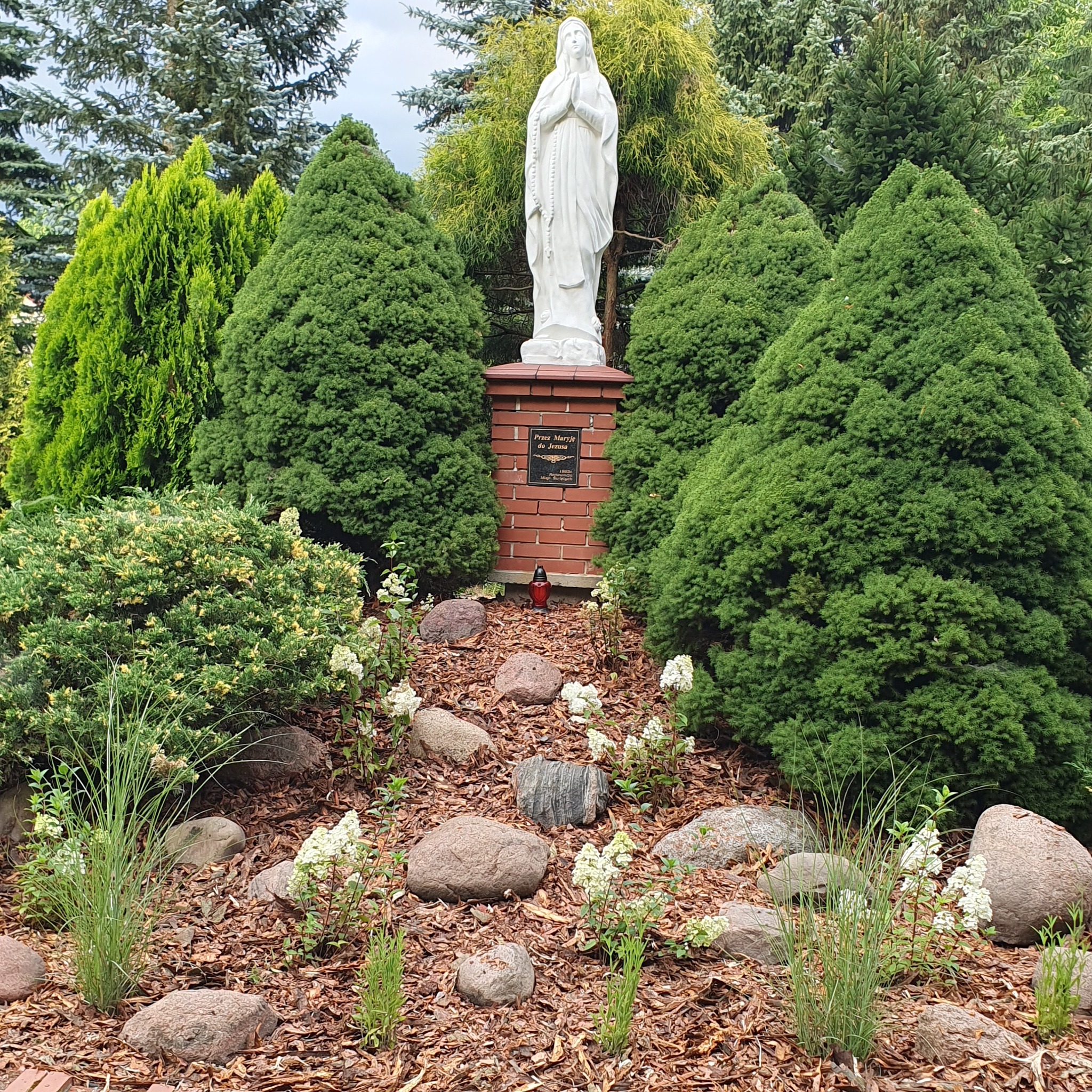 Ustawiona w ogrodzie biała figura Matki Boskiej na ceglanym cokole, otoczona tujami, kamieniami i korą.